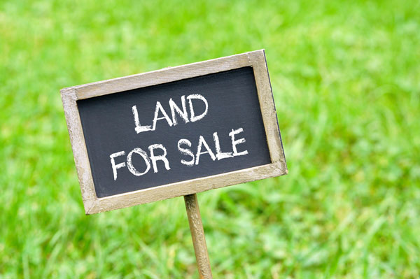 土地売却の成功術！高く早く売りたい方に必見の手順と注意点