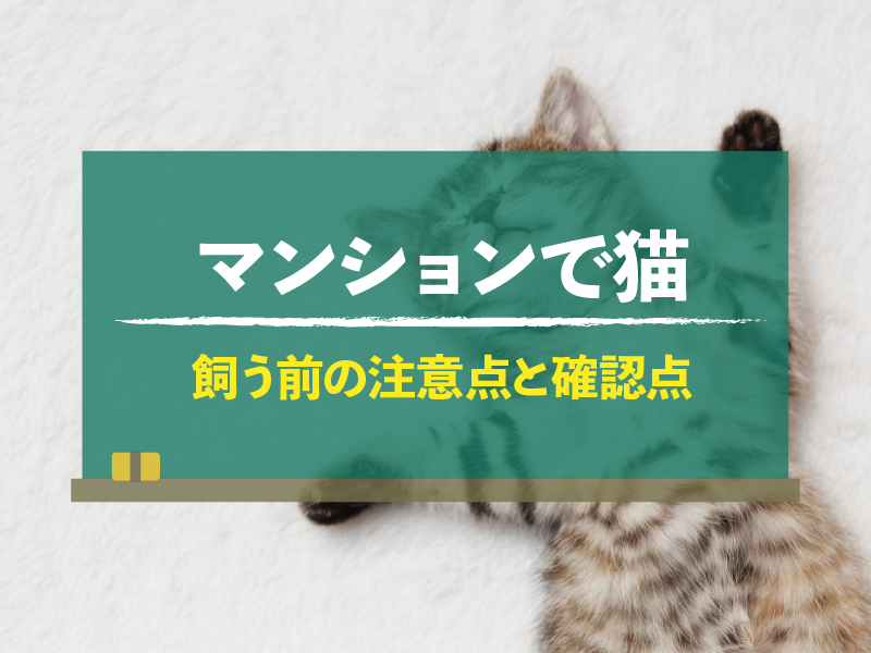 マンションで猫 飼う前の注意点と確認点