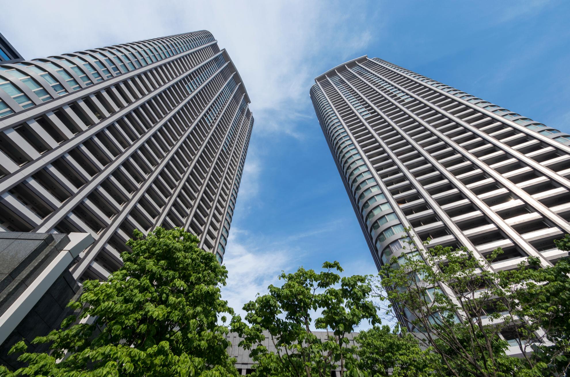 東京ツインパークス　レフトウィング