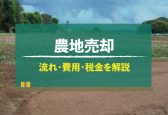 【図解】農地は売却できる？売却の流れや費用などをわかりやすく解説