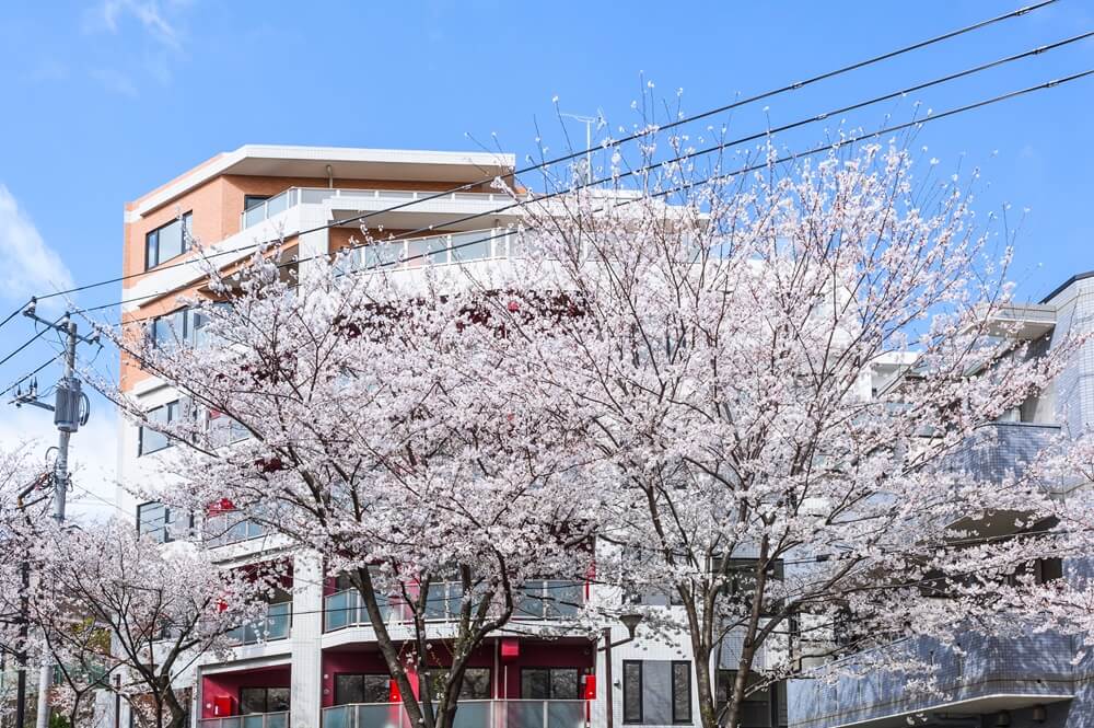 中野区のマンション売却事例