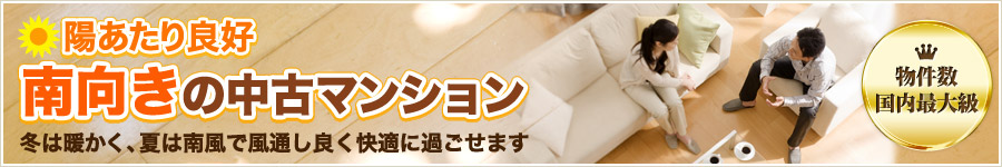 ���������ɹ������������ťޥ󥷥��