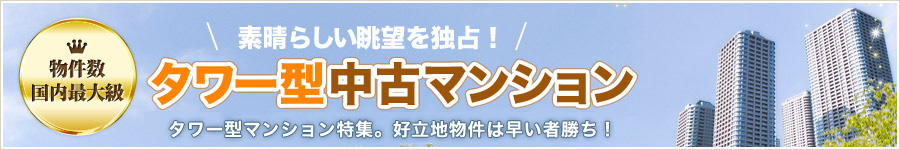 �������ťޥ󥷥��